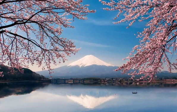 Вода, цветы, озеро, лодка, весна, Япония, сакура, гора Фуджи