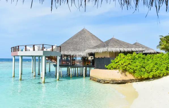 Море, пляж, тропики, домик, house, beach, sea, tropics