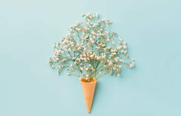 Цветы, фон, white, белые, рожок, flowers, вафля, spring