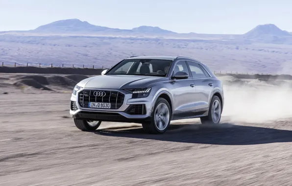 Quattro, 2018, кроссовер, 50 TDI, Audi Q8