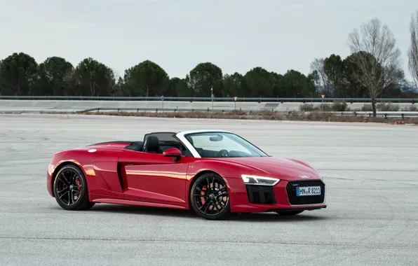 Audi R8, Spyder, 2018, V10, RWS