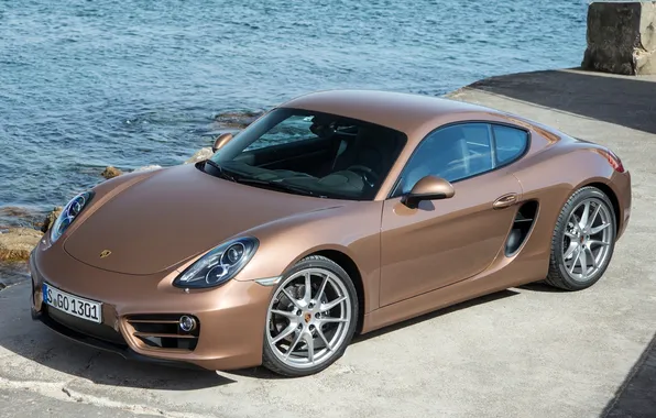 Картинка Porsche, Cayman, порше, 2013, кайман