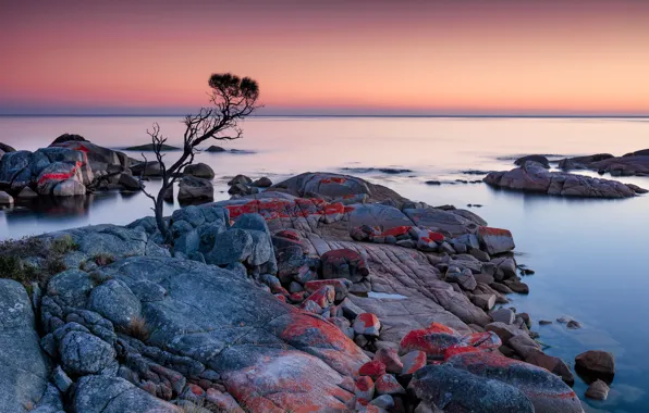 Картинка sunrise, Australia, Tasmania, Binalong Bay, Tassie