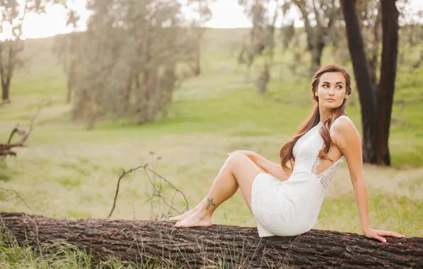 Картинка лето, взгляд, девушка, лицо, платье, ножки, красотка