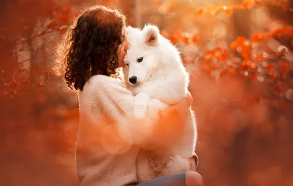Картинка осень, девушка, любовь, настроение, собака, дружба, друзья, самоед