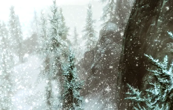 Снег, деревья, горы, Skyrim