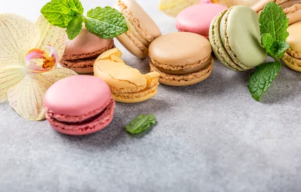 Орхидея, ассорти, macaron, Iryna Melnyk
