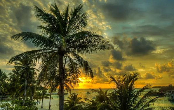 Картинка песок, море, пляж, небо, облака, закат, тропики, пальмы