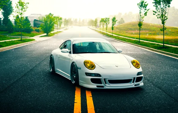 Картинка 911, Porsche, Nature, Green, GT3, White, Road, Supercar