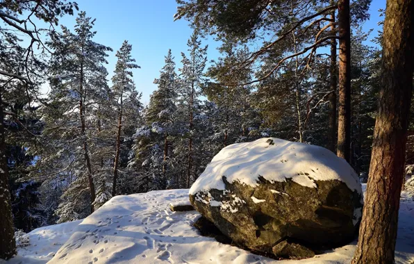 Природа, Зима, Снег, Камень