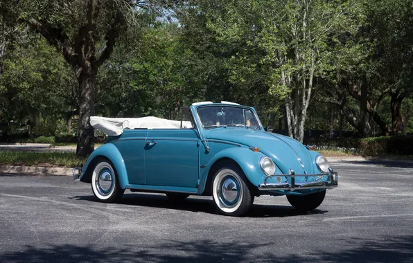 Volkswagen, Beetle, ретро автомобили, Cabriolet, 1963, retro cars, Volkswagen Beetle Cabriolet