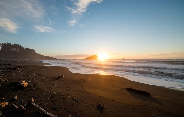 Картинка rock, beach, pacific ocean, coast, sunset, tree