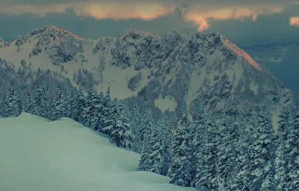 Картинка зима, лес, снег, закат, горы, пейзажи, вечер, сумерки