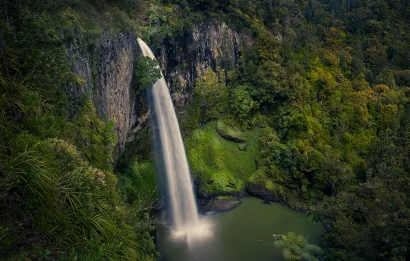 Лес, скала, река, водопад, поток, Новая Зеландия, New Zealand, Waikato