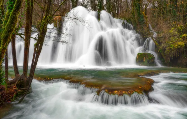 Лес, деревья, водопад, мох, каскад, France, Jura, Cascade des Tufs