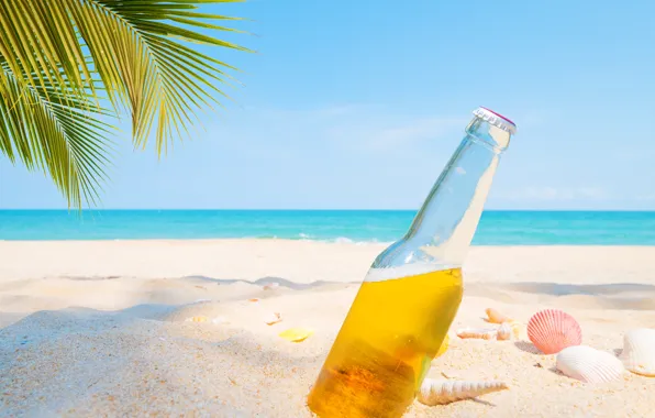 Картинка песок, море, пляж, лето, пальмы, отдых, пиво, ракушки