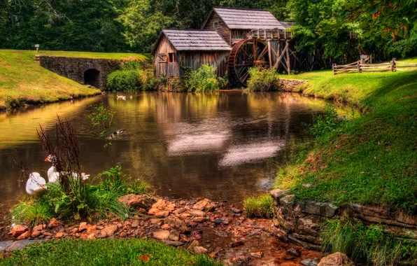 Картинка river, hdr, mill, архитектура, мельницы, colors, grass, красивая