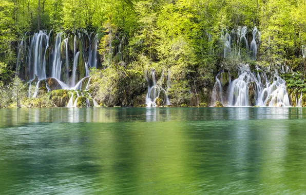 Картинка лес, природа, озеро, водопады, хорватия