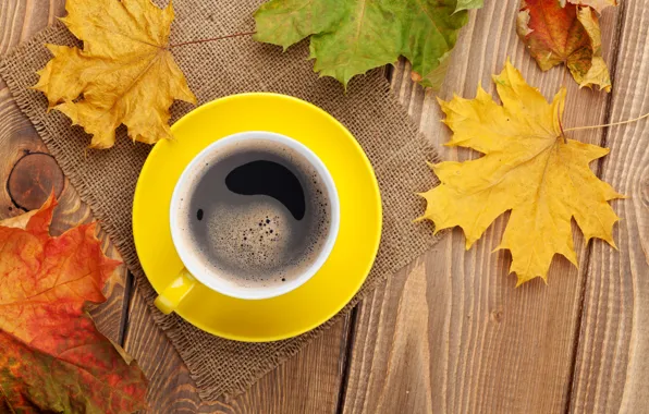 Картинка cup, чашка, клён, leaves, кофе, fall, autumn, coffee, осенние листья, осень, maple