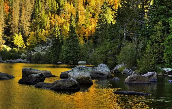 Картинка лес, природа, парк, камни, фото, США, Colorado, Rocky Mountain