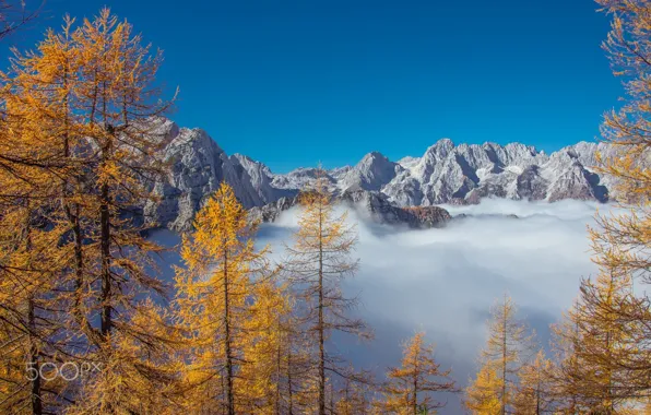 Картинка осень, лес, небо, горы, туман