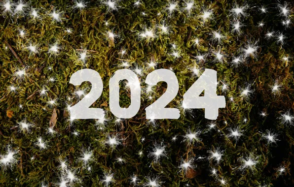Снег, мох, цифры, Новый год, снегопад, дата, 2024, Новый 2024 год