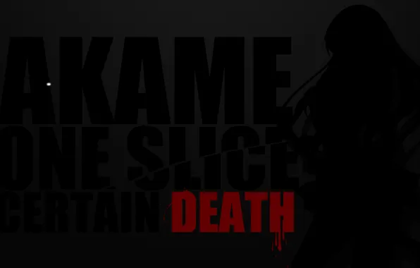 Akame, Akame ga kill, убийца Акаме