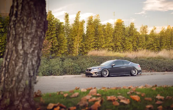 Honda, серебристая, хонда, coupe, accord, аккорд, stance