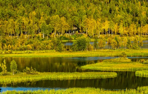 Картинка осень, лес, трава, деревья, горы, озеро, дом, холмы
