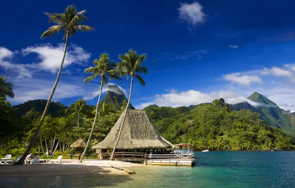Картинка пляж, тропики, пальмы, кафе, Tahiti, Муреа, tropics beach, Moorea