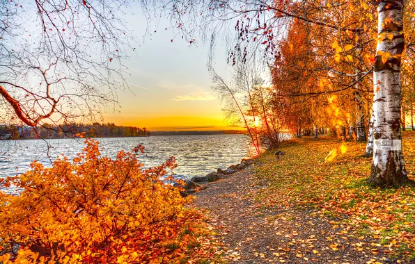 Картинка озеро, природа, деревья, закат, осень, пейзаж, листья