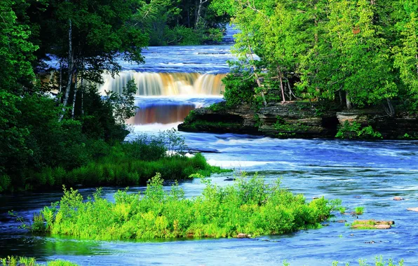 Зелень, лес, деревья, река, США, Tahquamenon River