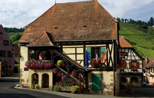 Картинка цветы, дом, Франция, поля, особняк, Haut-Rhin