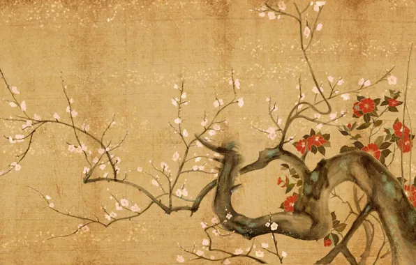 Картинка цветы, дерево, сакура