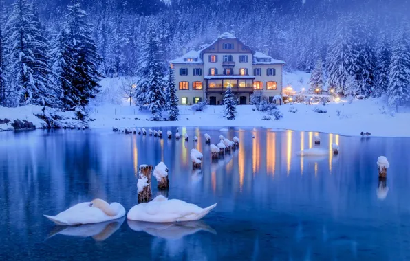 Картинка зима, снег, деревья, птицы, озеро, дом, ели, Альпы