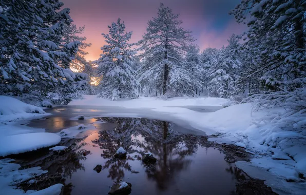 Картинка зима, снег, деревья, пейзаж, природа, река, утро, Evgeni Fabis