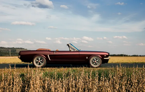 Car, Mustang, Ford, road, sky, Ringbrothers, 1965 Ford Mustang Convertible, Ford Mustang Uncaged