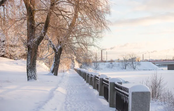 Картинка зима, снег, деревья, река, рассвет, утро, мороз, сугробы