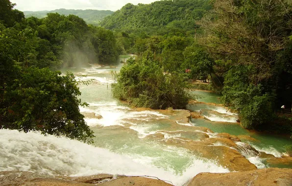 Деревья, природа, река, фото, водопады, Mexica, Agua Azul