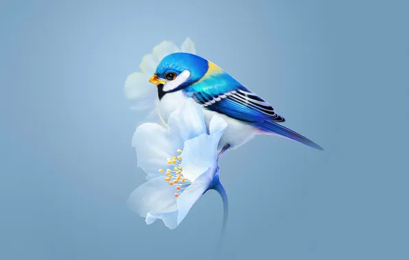 Flower, bird, sitting