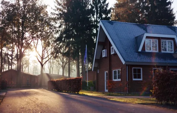 Windows, house, road, trees, wood, Europe, Belgium, flag