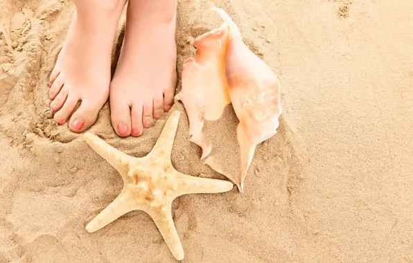Картинка песок, пляж, лето, ноги, ракушки, summer, beach, legs