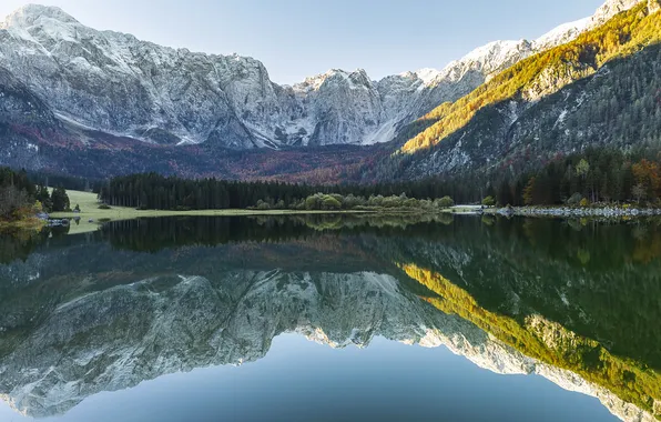 Лес, свет, горы, озеро, отражение, берег, склоны, вершины
