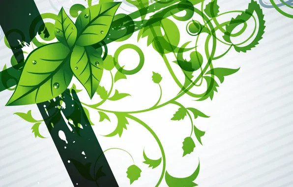 Цветы, зеленый, фон, green, текстура, background, Modern, floral