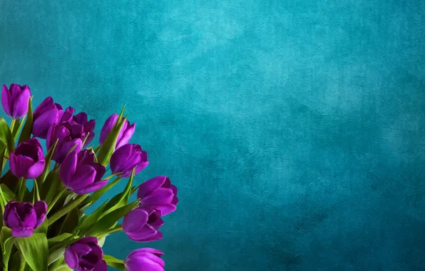 Цветы, фон, букет, тюльпаны