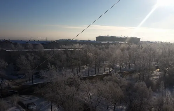 Зима, город, дома, вид из окна, деревья в снегу, хабаровск