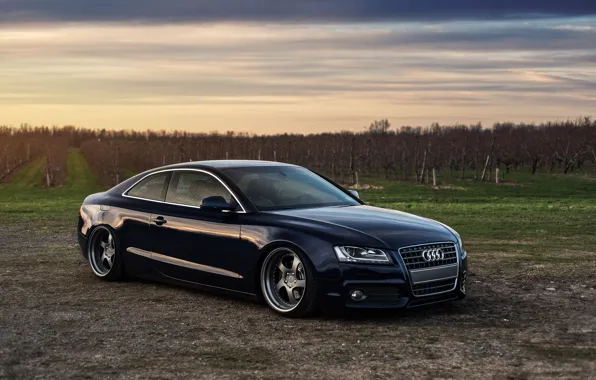 Audi, wheels, stance, frontside