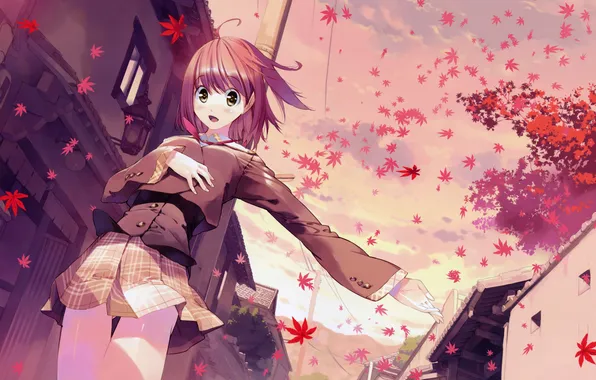 Листья, ветер, аниме-девушка, akizora ni mau confetti