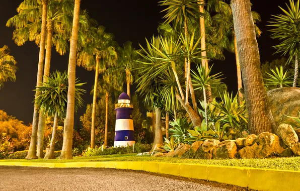Картинка дорога, свет, ночь, тропики, парк, пальма, маяк