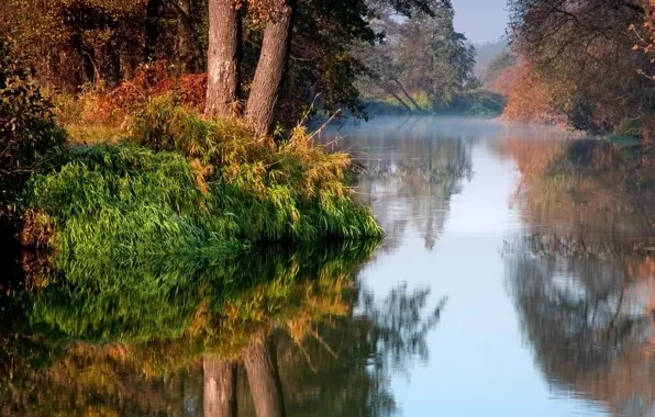 Картинка осень, пейзаж, природа, туман, река, утро, Польша